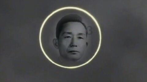 救援狗与猫